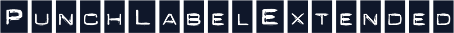 PunchLabelExtended