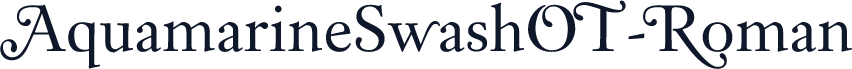 AquamarineSwashOT-Roman