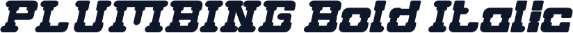 PLUMBING Bold Italic