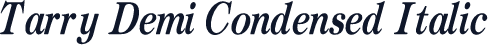 Tarry Demi Condensed Italic