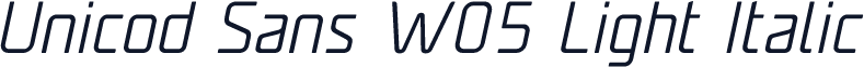 Unicod Sans W05 Light Italic