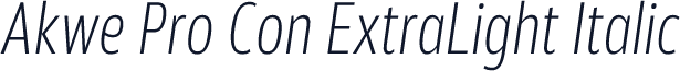 Akwe Pro Con ExtraLight Italic