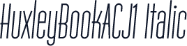HuxleyBookACJ1 Italic