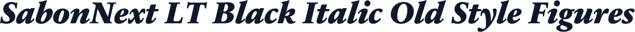 SabonNext LT Black Italic Old Style Figures