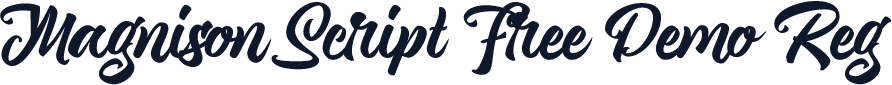 Magnison Script Free Demo Reg