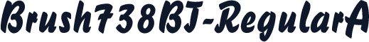 Brush738BT-RegularA