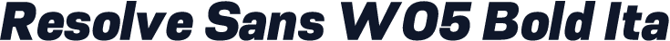 Resolve Sans W05 Bold Ita