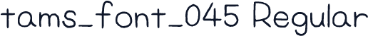 tams_font_045 Regular