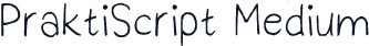 PraktiScript Medium