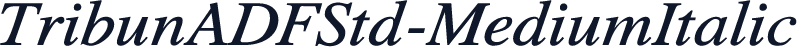 TribunADFStd-MediumItalic