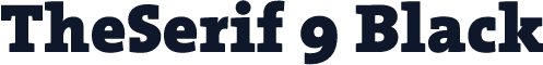TheSerif 9 Black