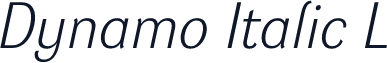 Dynamo Italic L