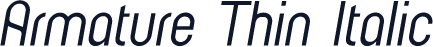 Armature Thin Italic