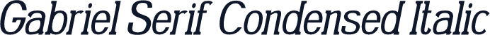Gabriel Serif Condensed Italic