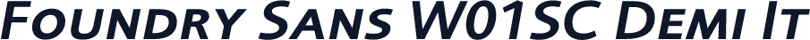 Foundry Sans W01SC Demi It