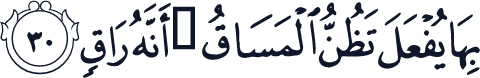QCF_P578