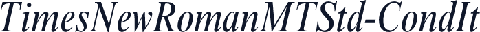 TimesNewRomanMTStd-CondIt