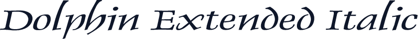 Dolphin Extended Italic