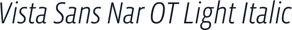 Vista Sans Nar OT Light Italic