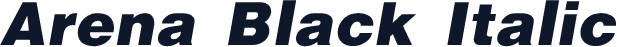Arena Black Italic