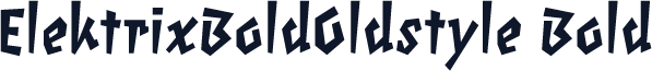 ElektrixBoldOldstyle Bold