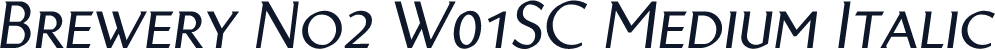 Brewery No2 W01SC Medium Italic
