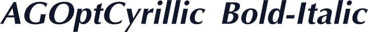 AGOptCyrillic Bold-Italic