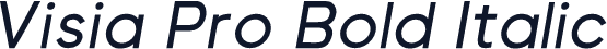 Visia Pro Bold Italic