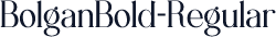 BolganBold-Regular
