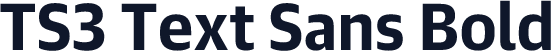 TS3 Text Sans Bold