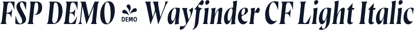 FSP DEMO - Wayfinder CF Light Italic