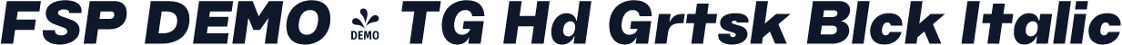 FSP DEMO - TG Hd Grtsk Blck Italic