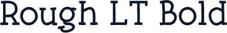 Rough LT Bold