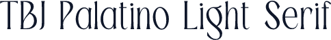 TBJ Palatino Light Serif