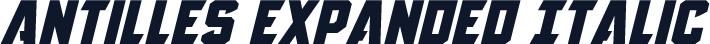 Antilles Expanded Italic