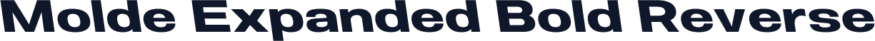 Molde Expanded Bold Reverse