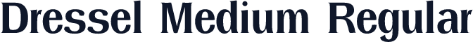 Dressel Medium Regular
