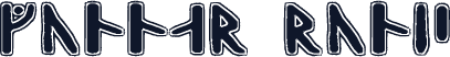 Gunnar Runic