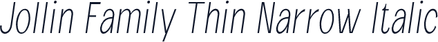 Jollin Family Thin Narrow Italic