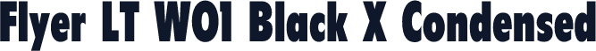 Flyer LT W01 Black X Condensed