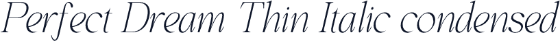 Perfect Dream Thin Italic condensed