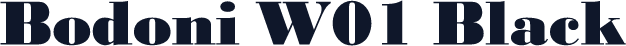 Bodoni W01 Black