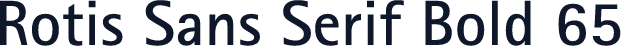 Rotis Sans Serif Bold 65