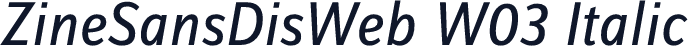 ZineSansDisWeb W03 Italic