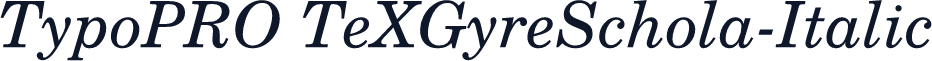 TypoPRO TeXGyreSchola-Italic