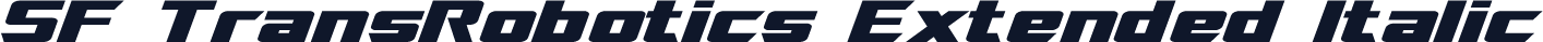 SF TransRobotics Extended Italic