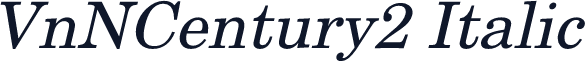 VnNCentury2 Italic