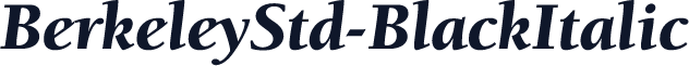 BerkeleyStd-BlackItalic
