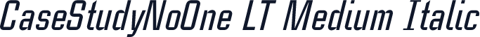 CaseStudyNoOne LT Medium Italic
