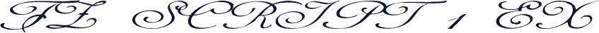 FZ SCRIPT 1 EX
